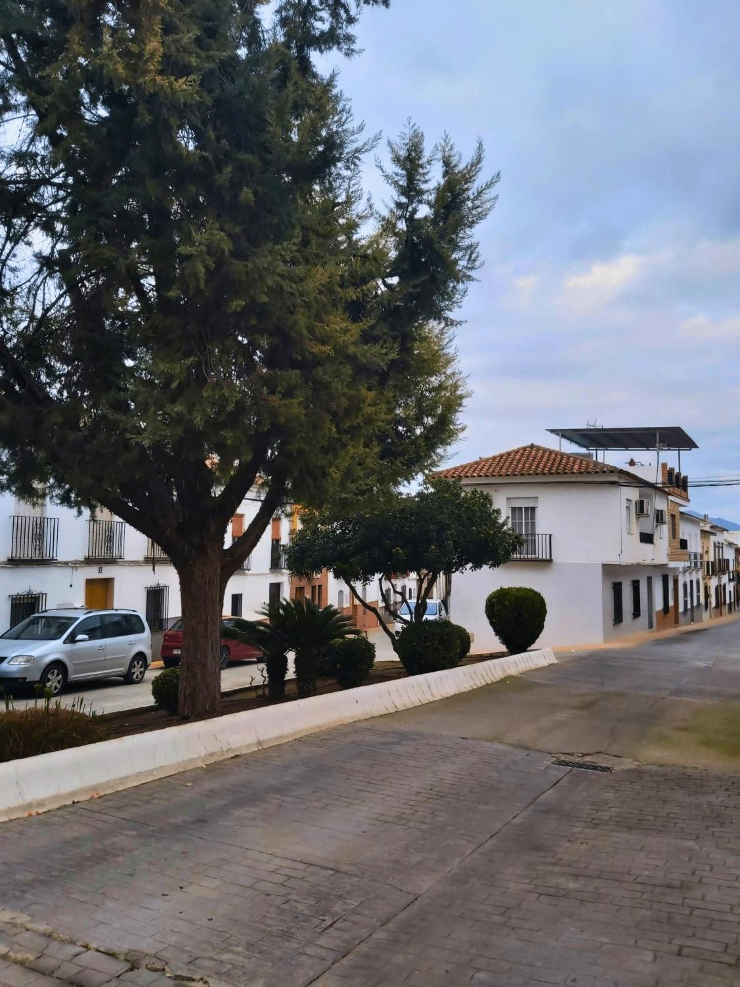 Arcadia Centro De Andalucia Encinas Reales Exterior foto
